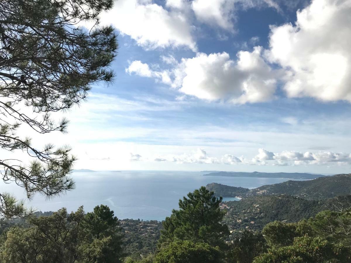 T2 Moderne Avec Jardin Lejlighed Le Le Rayol-Canadel-sur-Mer Eksteriør billede